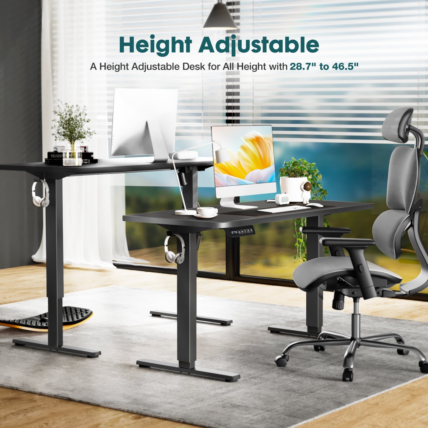 Electric Standing Desk 63x24 - Adjustable Height Sit Stand Desk for Home Office - Hippopotamus Barn