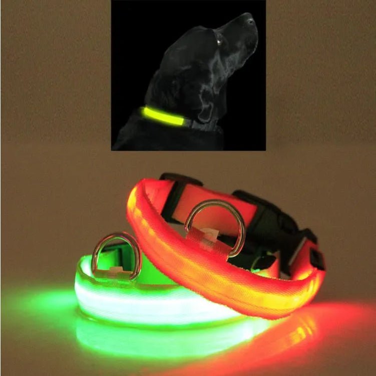 LED Pet Safety Collar - Rechargeable Light - Up Dog Collar for Night Walks - Hippopotamus Barn