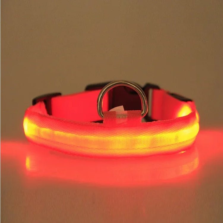 LED Pet Safety Collar - Rechargeable Light - Up Dog Collar for Night Walks - Hippopotamus Barn