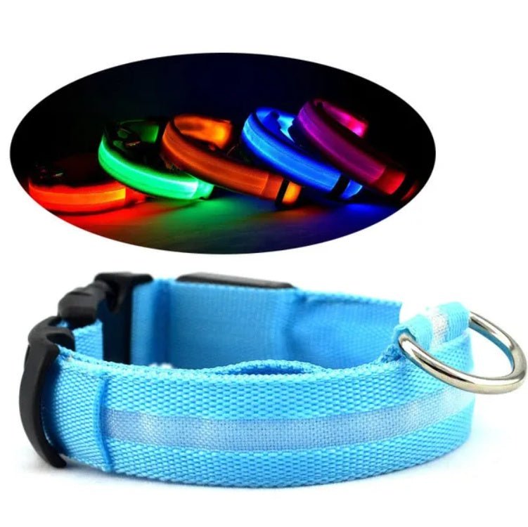 LED Pet Safety Collar - Rechargeable Light - Up Dog Collar for Night Walks - Hippopotamus Barn