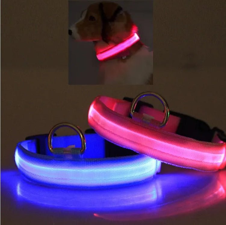 LED Pet Safety Collar - Rechargeable Light - Up Dog Collar for Night Walks - Hippopotamus Barn