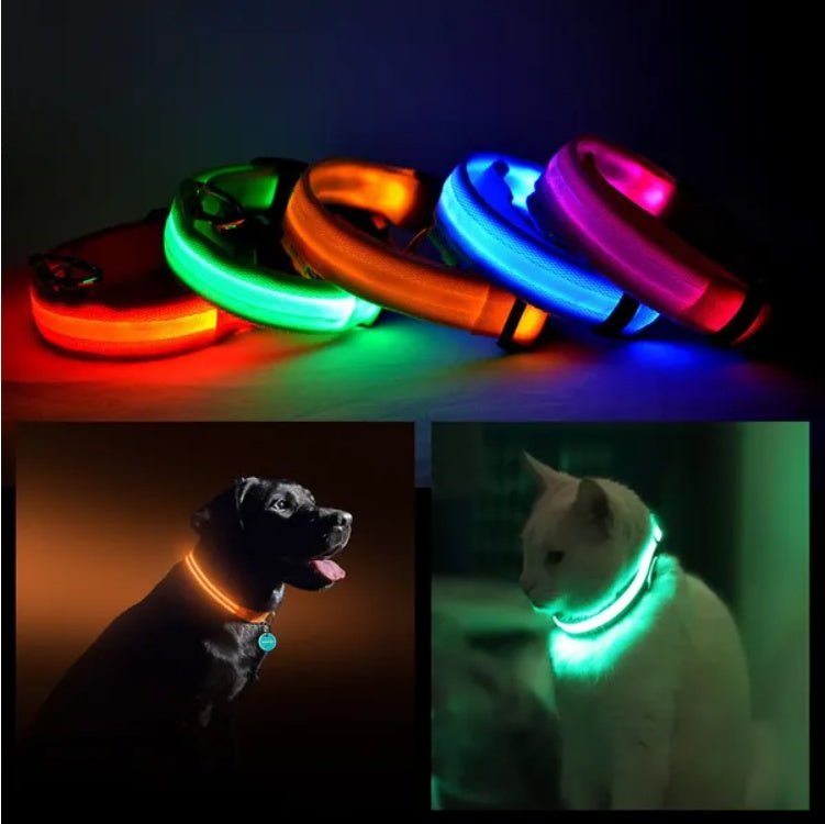 LED Pet Safety Collar - Rechargeable Light - Up Dog Collar for Night Walks - Hippopotamus Barn