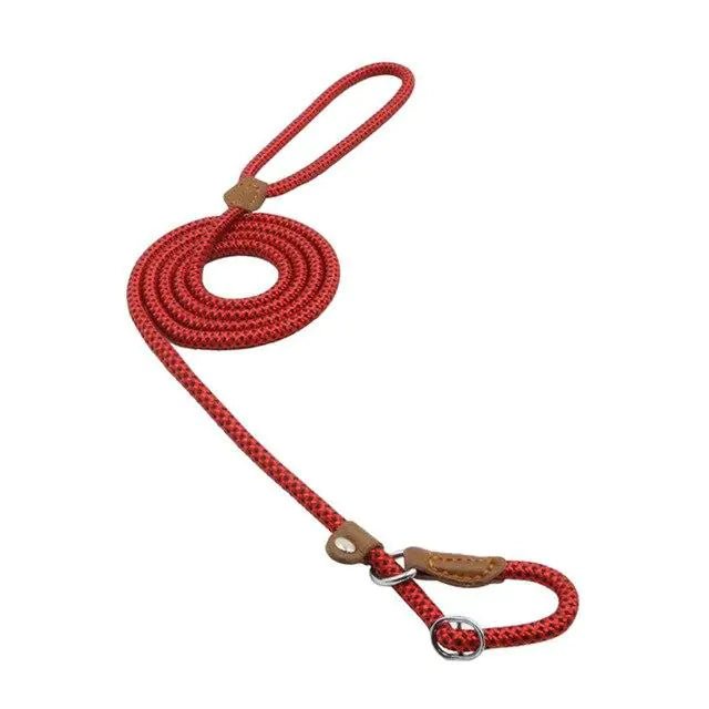 Nylon Pup Set | Premium Reflective Collar & Lead Duo - Hippopotamus Barn