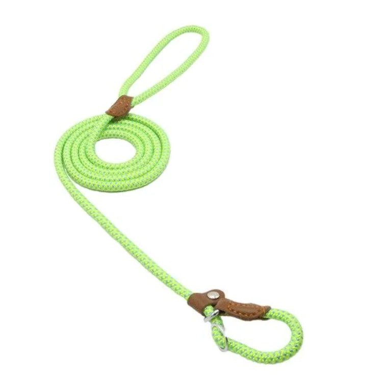 Nylon Pup Set | Premium Reflective Collar & Lead Duo - Hippopotamus Barn