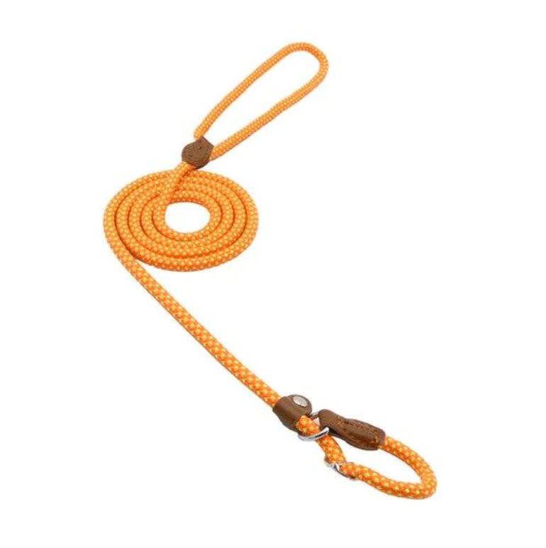 Nylon Pup Set | Premium Reflective Collar & Lead Duo - Hippopotamus Barn