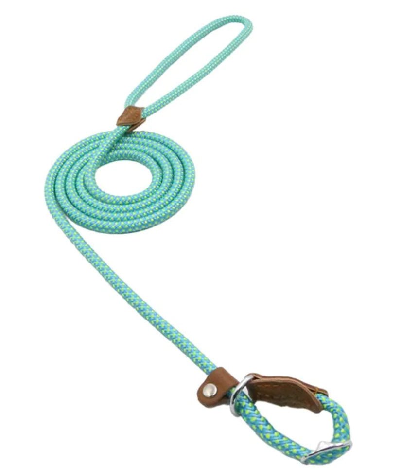 Nylon Pup Set | Premium Reflective Collar & Lead Duo - Hippopotamus Barn