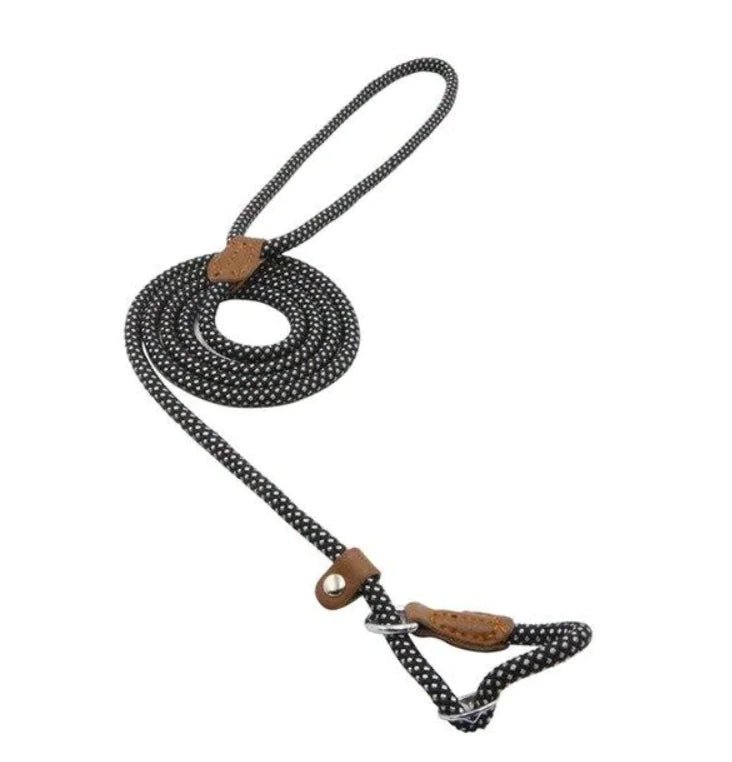 Nylon Pup Set | Premium Reflective Collar & Lead Duo - Hippopotamus Barn