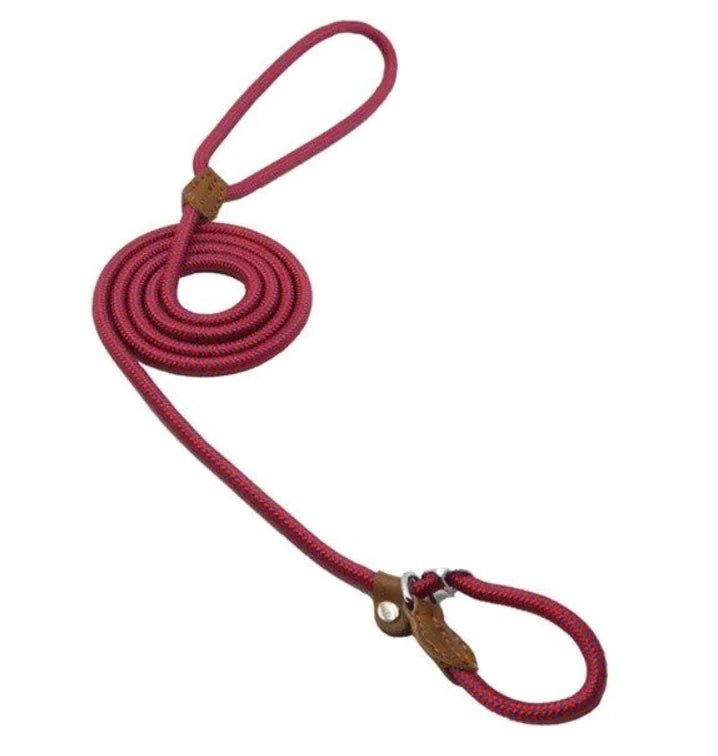Nylon Pup Set | Premium Reflective Collar & Lead Duo - Hippopotamus Barn
